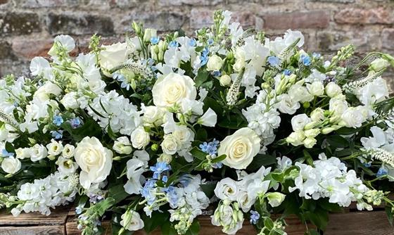 COFFIN SPRAY - Image 6