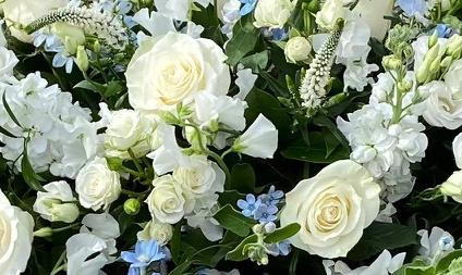 COFFIN SPRAY - Image 7