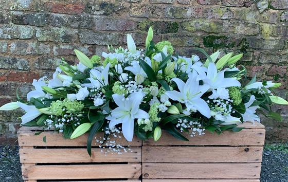 COFFIN SPRAY - Image 3