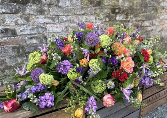 COFFIN SPRAY - Image 2