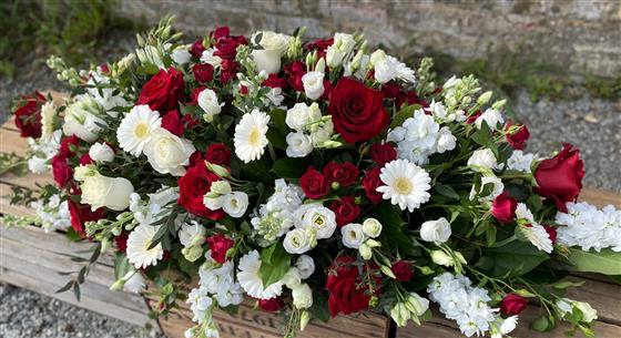 COFFIN SPRAY - Image 8