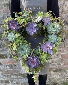 LIVING SUCCULENT HEART