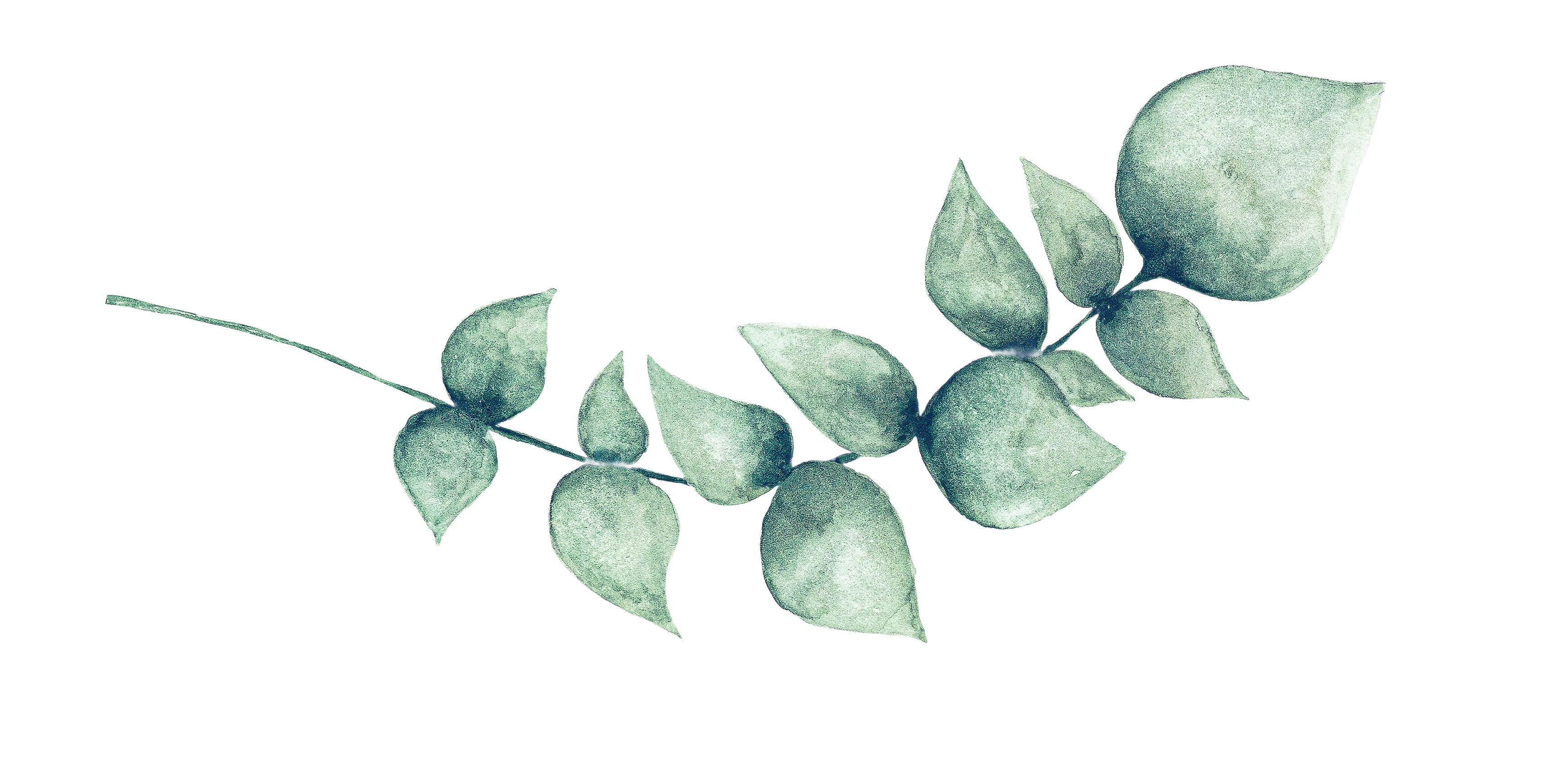 iStock-1163011066 (1)right iStock-1163011066 (1)right